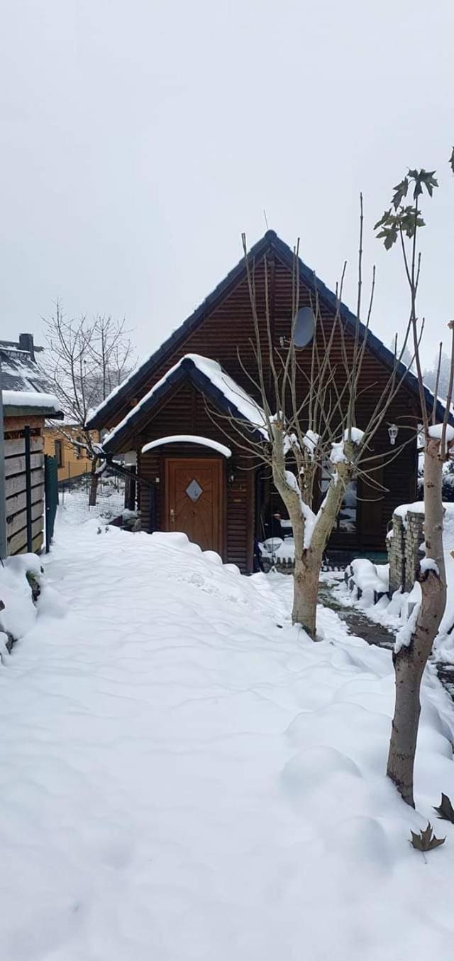 Ferienhaus-Wurzbach Kültér fotó