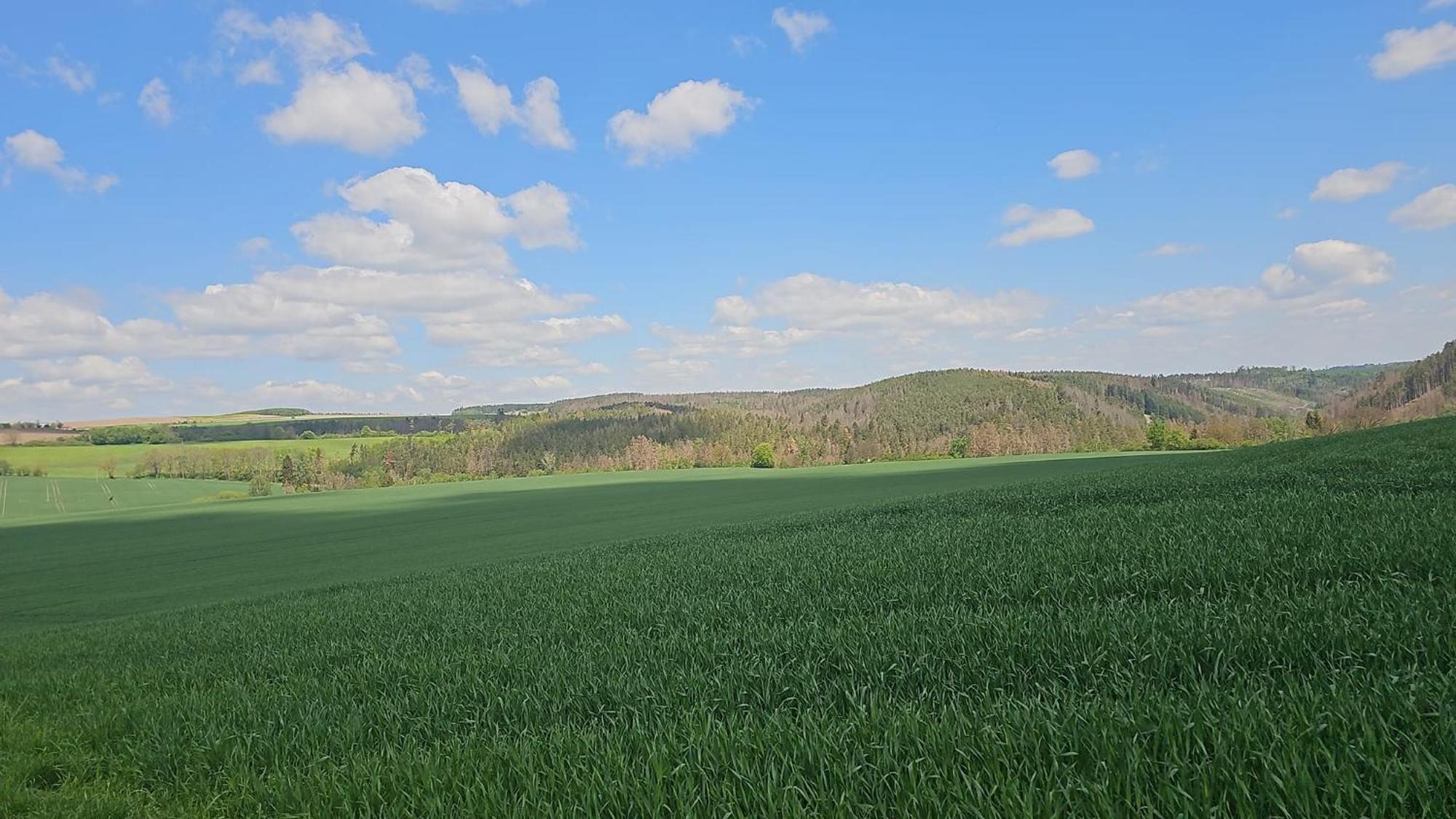 Ferienhaus-Wurzbach Kültér fotó
